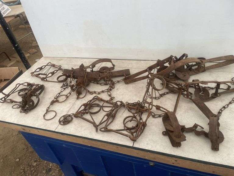 Quantity of traps including connibear and leg grabbers