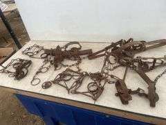 Quantity of traps including connibear and leg grabbers