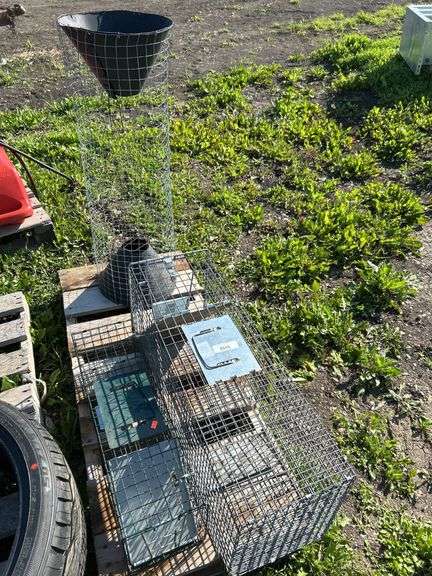Magpie trap & 2 rodent traps