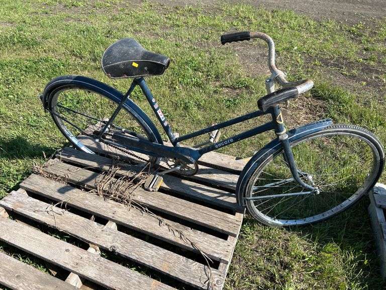 Adult bike
