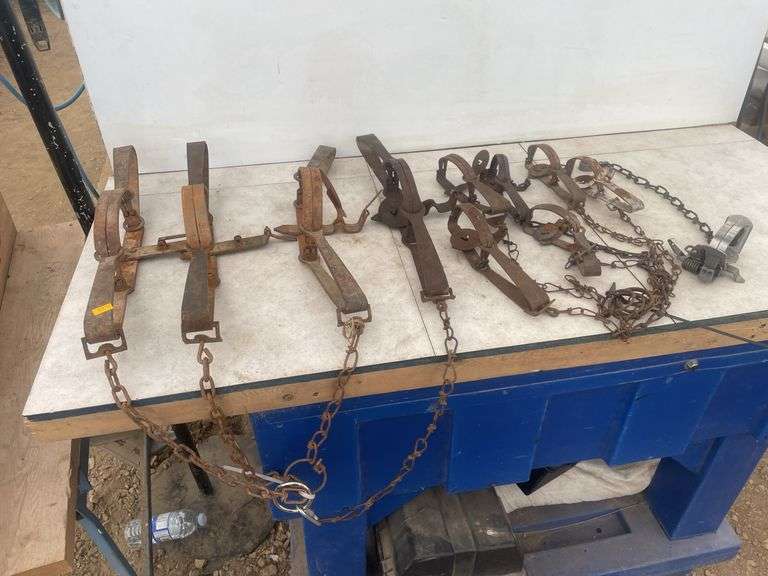 Qty of leg grab traps 2 double spring need repair