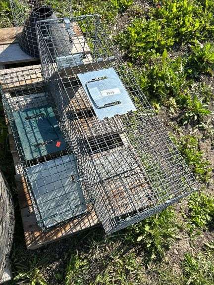 Magpie trap & 2 rodent traps
