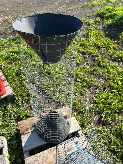 Magpie trap & 2 rodent traps