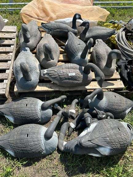 Qty of decoys