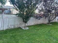 OFFSITE MELFORT: 174' of Fence in sections