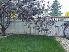 OFFSITE MELFORT: 174' of Fence in sections