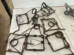 11 Connibear traps