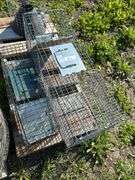 Magpie trap & 2 rodent traps