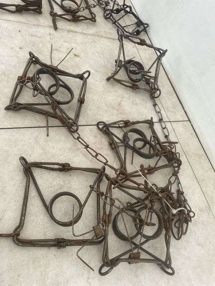 11 Connibear traps