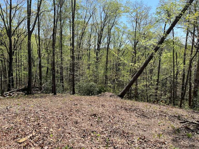 220 Painter Creek Rd, Travelers Rest, SC