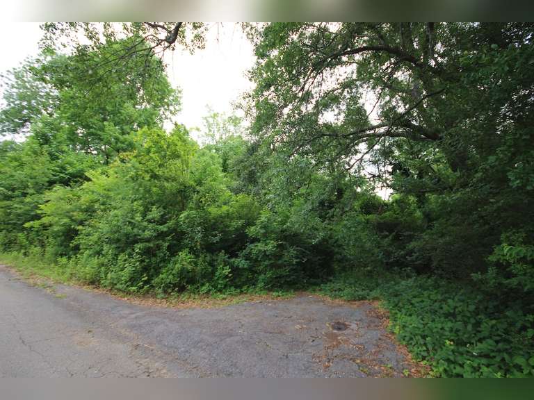 Russell St, Winnsboro, SC