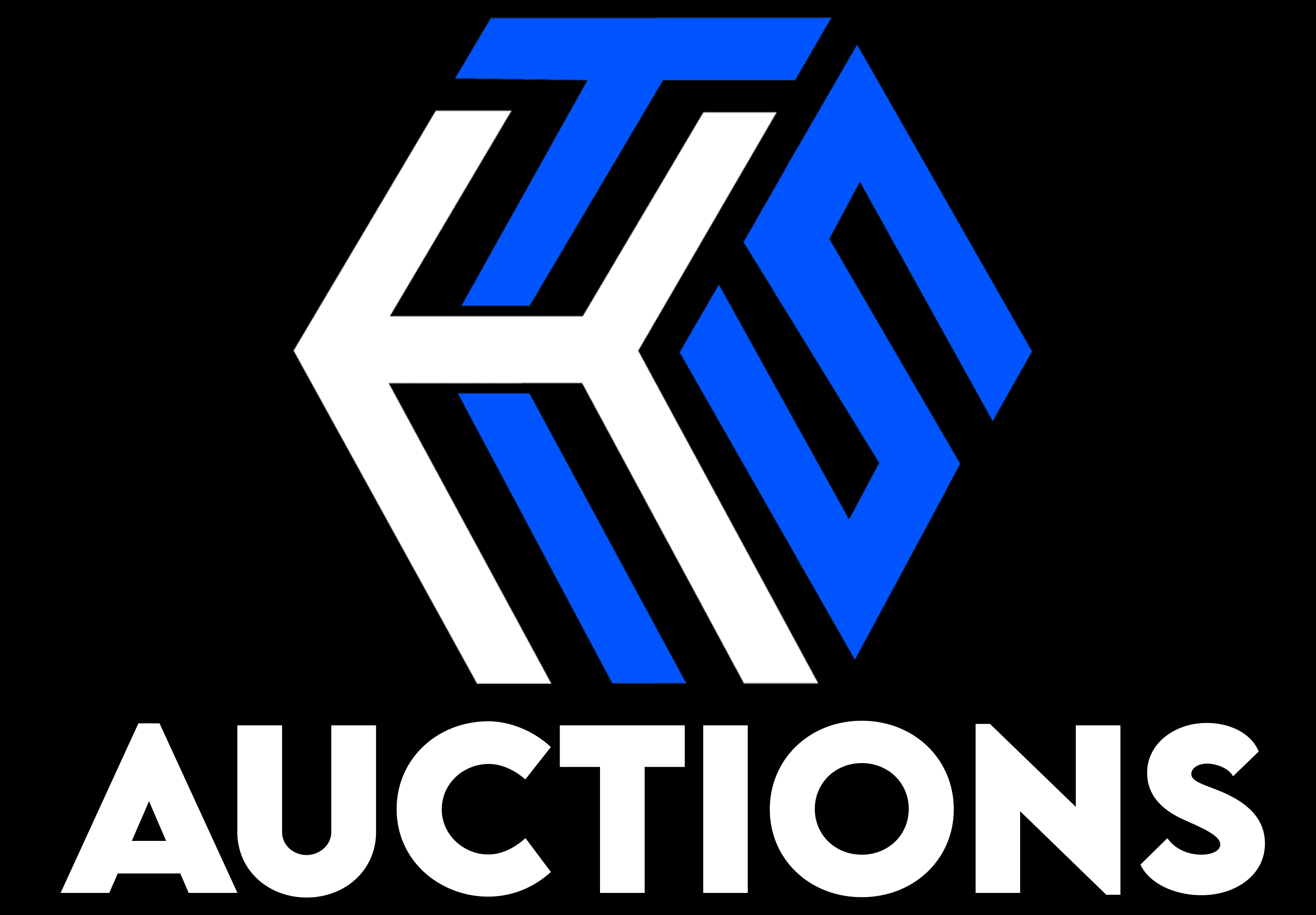 Website Logo