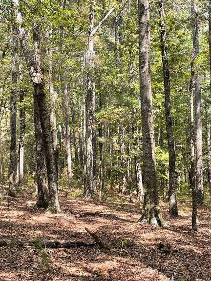 Clay County (Gaither/Cline Road)