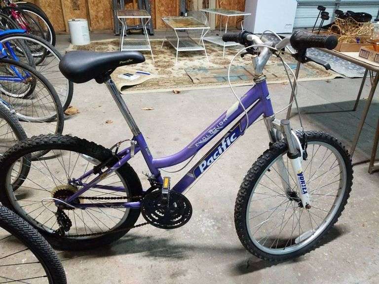 Pacific Python Bicycle Pacific Evolution Bicycle in Purple With Needs Work - Trice Auctions