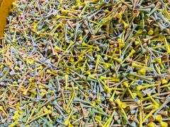 Lot of NEW Pastel Plastic Golf Tees