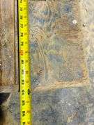 Tasman Machine Co 16” Panel Saw