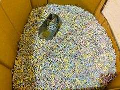 Lot of NEW Pastel Plastic Golf Tees