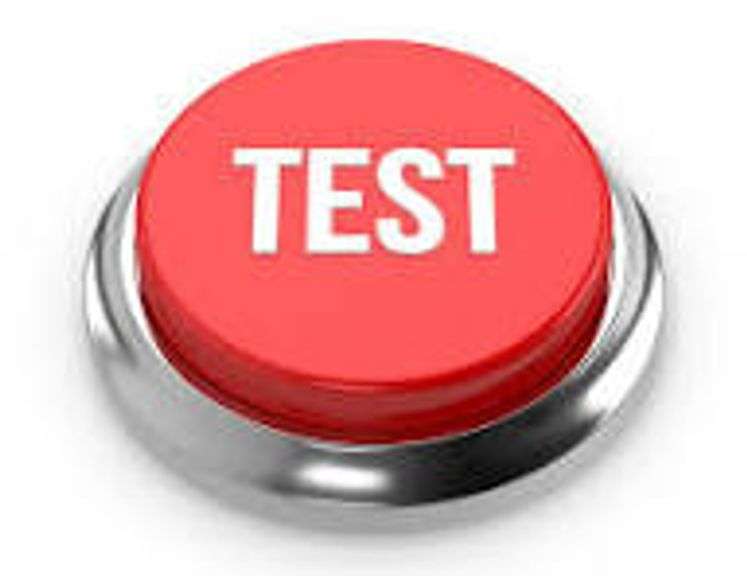 Treasure Trove Test Auction