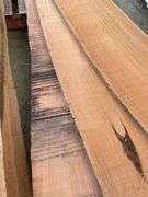 3x Slabs Timber