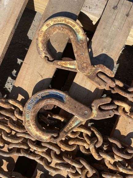 2 Drop Lifting Chain and D Shackle