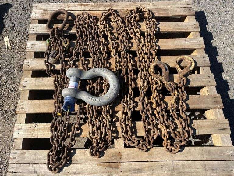 2 Drop Lifting Chain and D Shackle