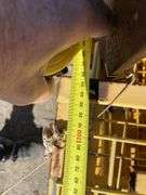 Assorted Mesh Panels and Posts