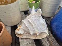 Pallet Assorted Pots/Jugs