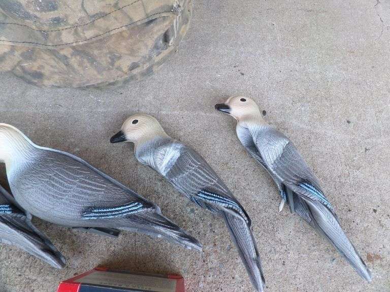 Dove Hunter's Lot! Full box of 12 Gauge Shells, Decoys & Neat Storage ...