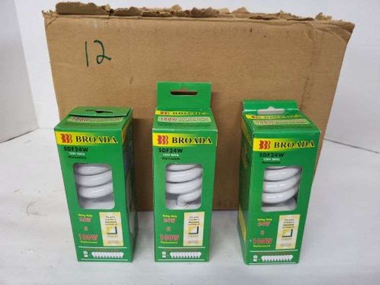 12 Light Bulbs. ~ cash only ~. (1B)