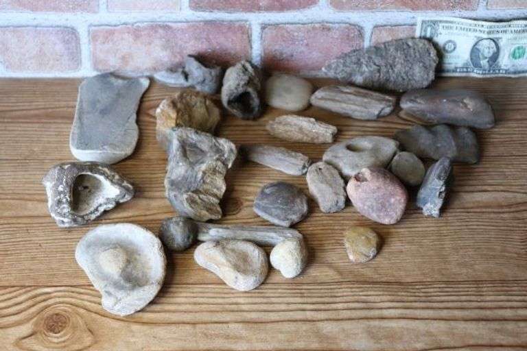 Wood Poit Rocks Very Cool Box of Rocks as Shown - Look Closely- May be Petrified Wood ...