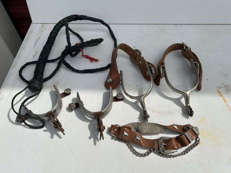 Stirrups & Leather Whip