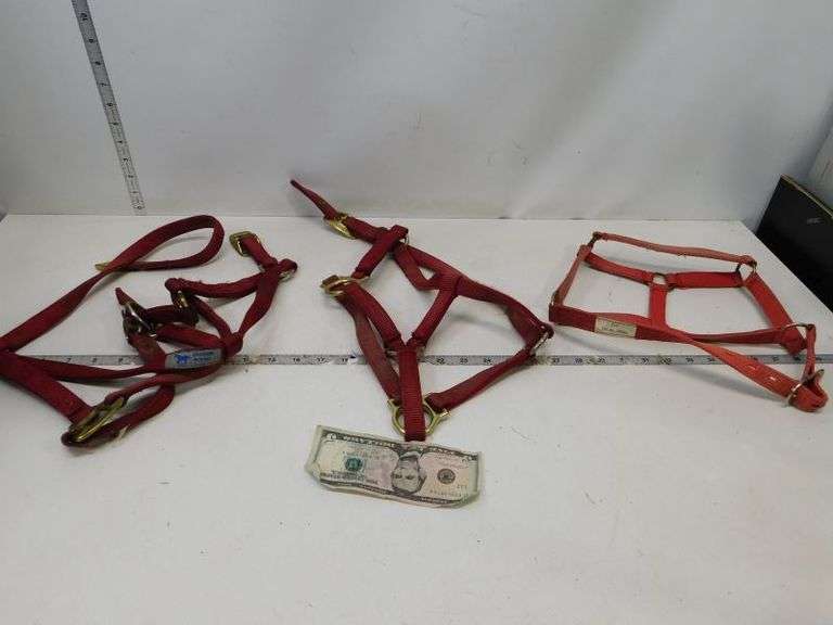 (3) Horse Halters