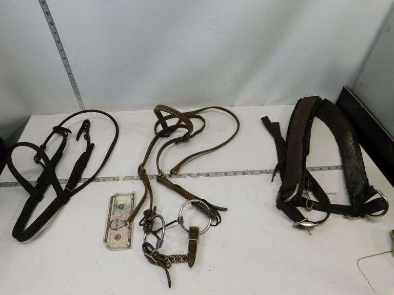 Horse Bridel Tack