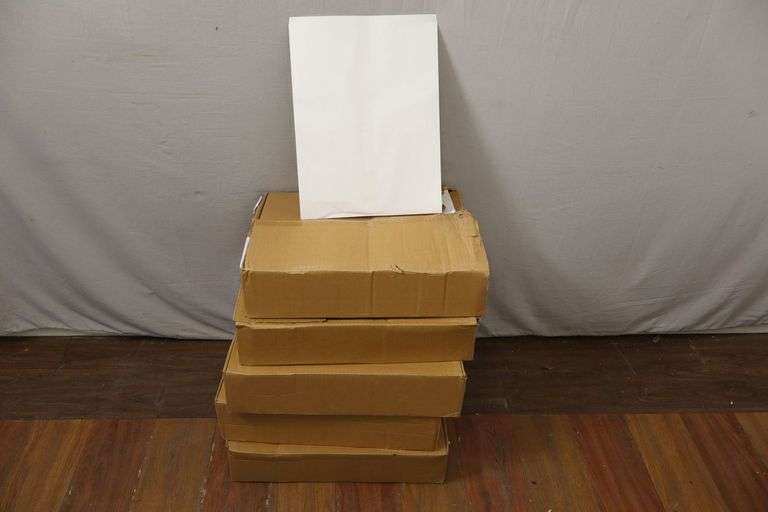 Lot 279:NEW Lot of FIVE 150-Count Cases of 12-3/4" x 16-1/2" White Photography Envelopes/Sleeves! (R3)