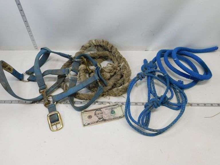 Horse Halter with Lanyard
