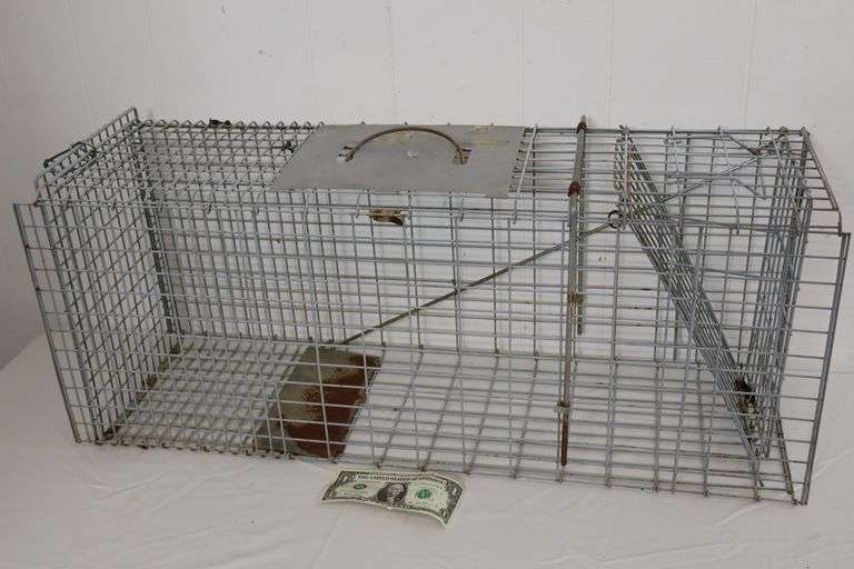 Large Easy Set Live Animal Trap! (11E)