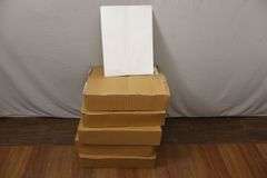 Lot 279:NEW Lot of FIVE 150-Count Cases of 12-3/4" x 16-1/2" White Photography Envelopes/Sleeves! (R3)