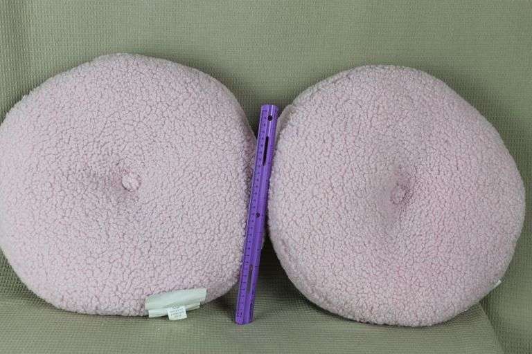 CASH ONLY Two New VERY Soft Throw Pillows  (R4-1)