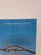 Spring Bouquet Barbie Enchanted Seasons Collection Limited Edition