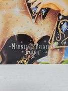 Midnight Princess Barbie The Winter Princess Collection Limited Edition