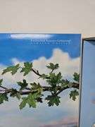 Summer Splendor Barbie Limited Edition Enchanted Seasons Collection