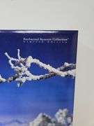 Snow Princess Barbie Enchanted Seasons Collection Limited Edition