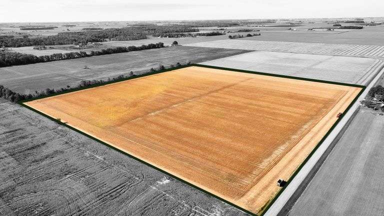 Tract 3: 40.68± acres