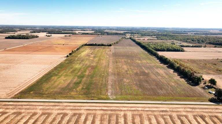 Tract 4: 40.59± acres