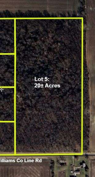 LOT 5: WOODED 20.0+/- ACRES ON CO. RD. A, BRYAN, OH 43506