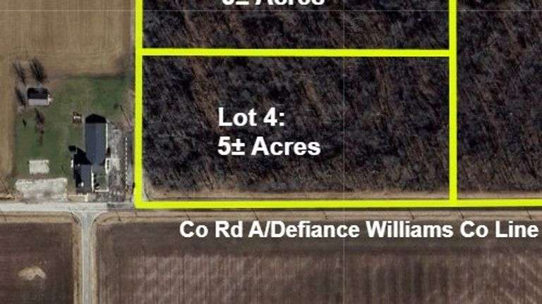 LOT 4: WOODED 5.0+/- ACRES ON CO. RD. 18, BRYAN, OH 43506