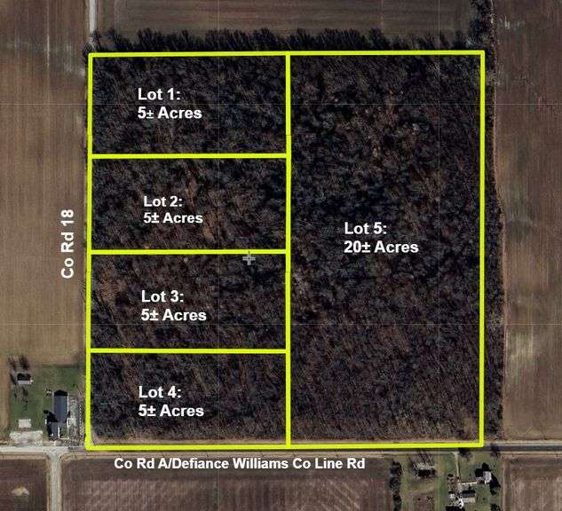 LOT 4: WOODED 5.0+/- ACRES ON CO. RD. 18, BRYAN, OH 43506