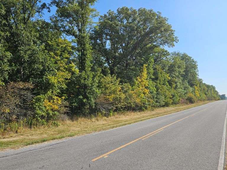 LOT 4: WOODED 5.0+/- ACRES ON CO. RD. 18, BRYAN, OH 43506