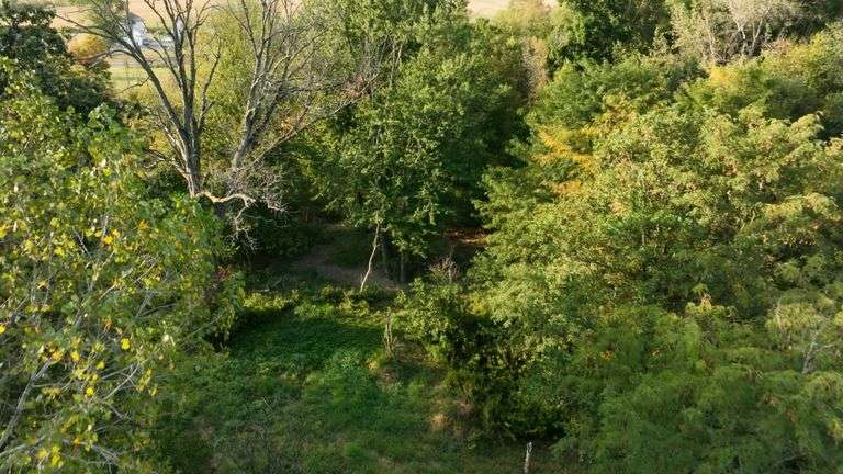 3.0± acres - Potential Building Lot