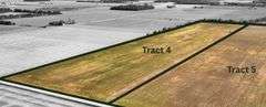 Tract 4: 40.59± acres